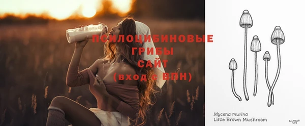 бошки Абдулино