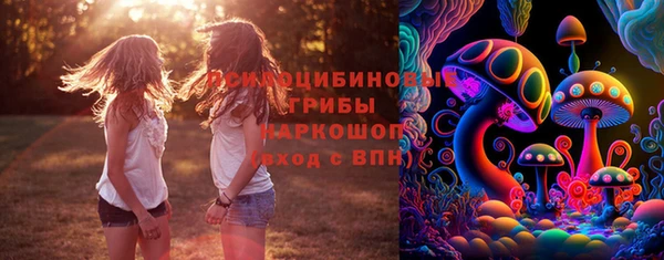 бошки Абдулино