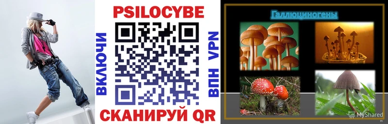 mega рабочий сайт  дарк нет Telegram  Псилоцибиновые грибы Psilocybine cubensis  Алзамай 